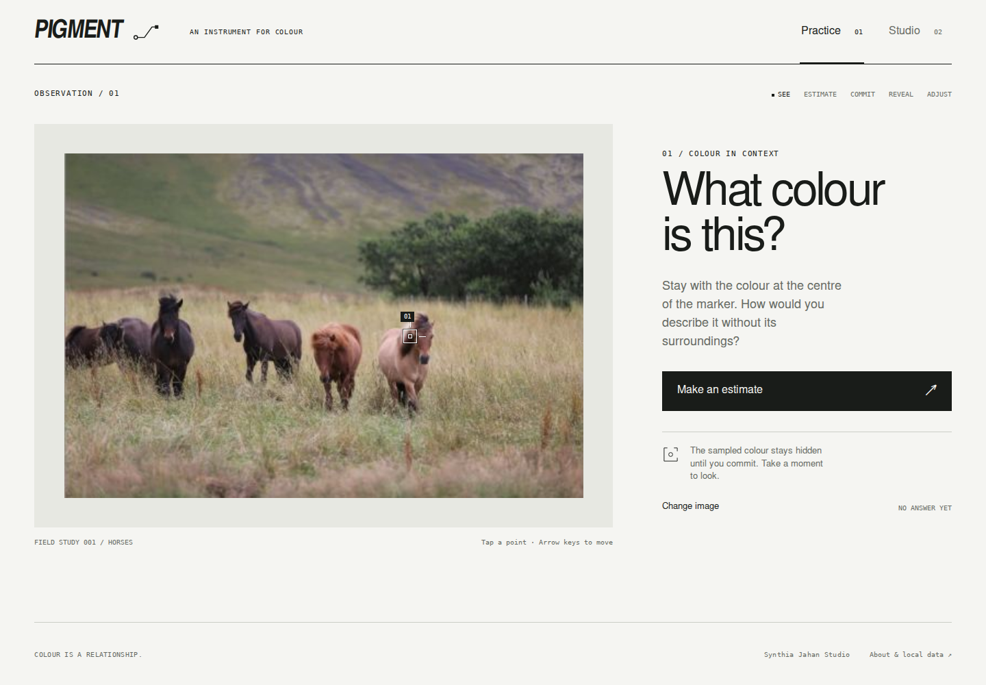 Pigment Practice screen with an Icelandic horse reference and the question What colour is this?